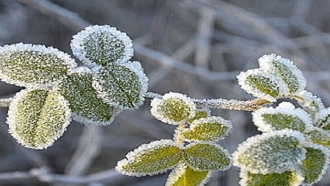 Dự báo thời tiết ngày 18/1/2024: Miền Bắc sắp có rét đậm, băng giá