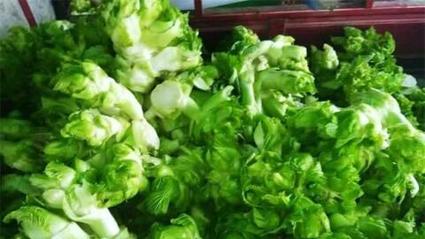 Bí mật về loại rau xứ lạnh, đặc sản gây sốt trên thị trường, nhiều người 'săn lùng' bằng được