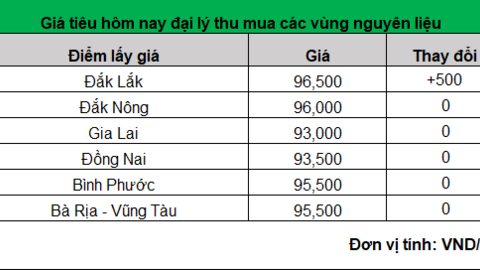 Giá tiêu hôm nay tiếp tục tăng, cao nhất là giá tiêu tại Đắk Lắk