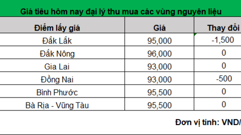Giá tiêu hôm nay giảm tới 1.500 đồng/kg, nông dân không vội bán
