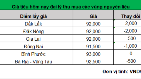 Giá tiêu tiếp tục giảm rất mạnh
