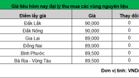 Giá tiêu vẫn "mong manh", lực bán cuối vụ tăng, xuất khẩu sang Trung Quốc chưa cải thiện