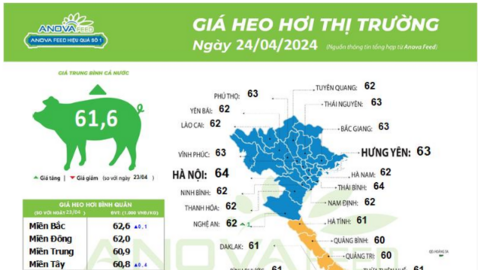 Giá lợn hơi tăng liên tiếp, mặt bằng giá tiến lên dần, doanh nghiệp mạnh tay mở rộng sản xuất