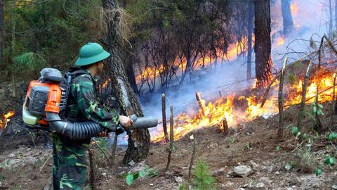 Thủ tướng yêu cầu quyết liệt phòng cháy, chữa cháy rừng