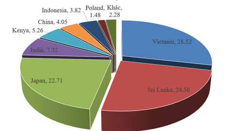 Việt Nam giữ vững vị trí đối tác xuất khẩu trà lớn nhất cho Đài Loan