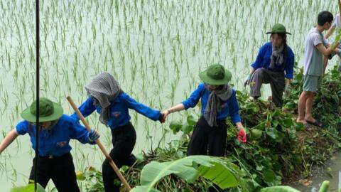 Phát huy tinh thần “Đâu cần thanh niên có, đâu khó có thanh niên”