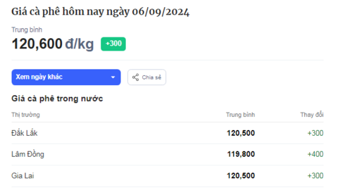 Đà tăng giá cà phê chưa dừng lại, giá cà phê tại Lâm Đồng, Đắk Nông tăng mạnh nhất hôm nay