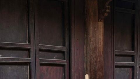 Họa sĩ trẻ Như Ngọc gây ấn tượng mạnh mẽ với tranh lụa