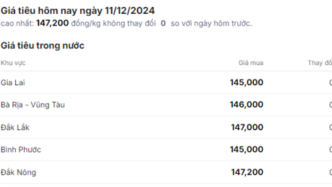 Giá tiêu chững lại, động thái của người bán đang quyết định xu hướng giá