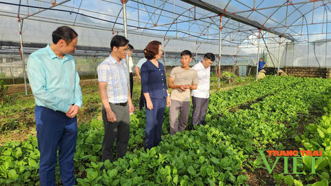 Lai Châu: Nông dân Bình Lư thi đua sản xuất, kinh doanh giỏi