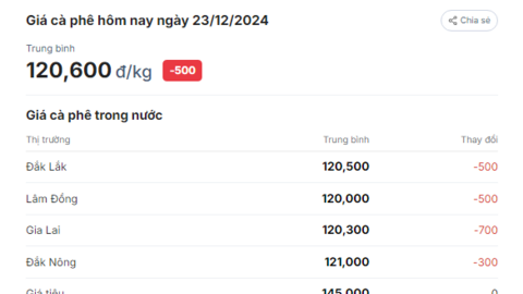 Giá cà phê giảm tiếp đầu tuần, cà phê tại Lâm Đồng, Gia Lai, Đắk Lắk đều xuống thấp quá