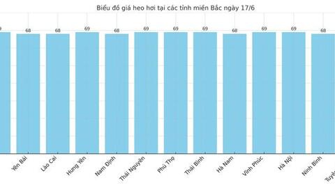 Giá heo hơi hôm nay 17/6/2025: Miền Nam quay đầu giảm mạnh