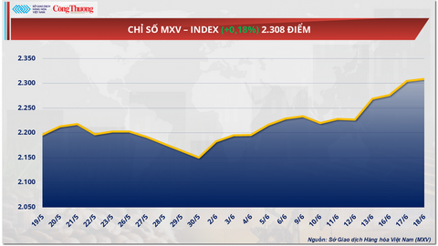 Giá cà phê Arabica giảm hơn 3% về mức 7.105 USD/tấn