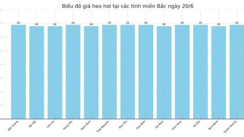Giá heo hơi hôm nay 20/6/2025: Giảm nhẹ tại miền Trung, miền Nam