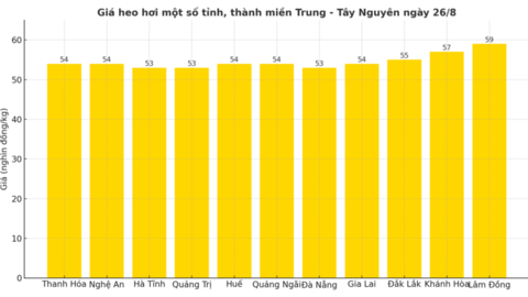 Giá heo hơi hôm nay 26/8/2025: Giảm tại nhiều địa phương