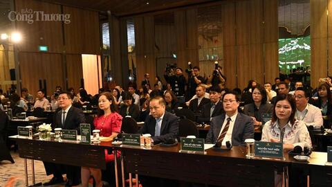 Kinh nghiệm chính sách của Philippines trong phát triển bioethanol