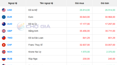 Tỷ giá USD hôm nay 05/09/2025: Đồng USD giữ ổn định