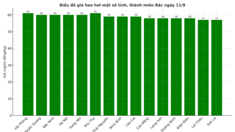 Giá heo hơi hôm nay 11/9/2025: Chững lại sau nhiều ngày tăng