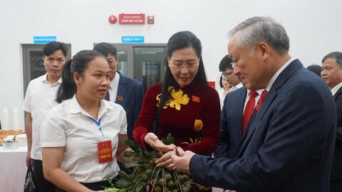 Đại hội đại biểu Đảng bộ tỉnh Quảng Ngãi lần thứ I, nhiệm kỳ 2025–2030