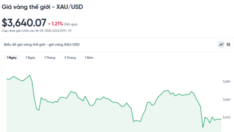 Giá vàng hôm nay 19/09/2025: Đồng loạt giảm