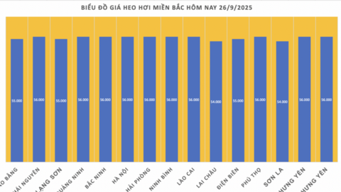 Giá heo hơi hôm nay 26/9/2025: Miền Trung, miền Nam giảm nhẹ