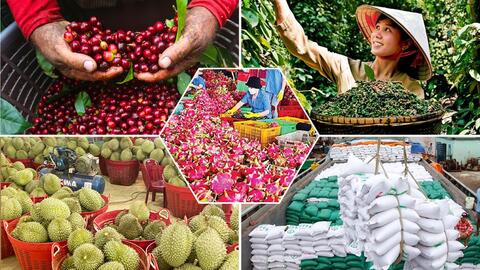 Bộ Công Thương hỗ trợ nông sản Việt ‘lên sàn’ và 'xuất ngoại’