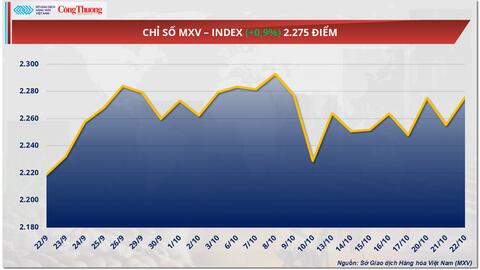 Nguồn cung thắt chặt, giá ca cao leo thang trên thị trường thế giới