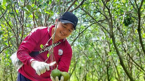 HTX dùng công nghệ để định giá và đánh bại chiến thuật phá giá của thương lái