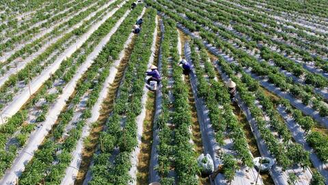 HTX và bài toán tái cấu trúc quy mô lớn để tạo sức mạnh xuyên vùng