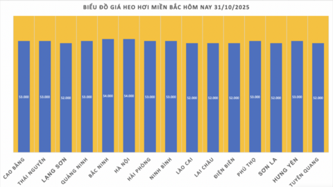Giá heo hơi hôm nay 31/10/2025: Giảm nhẹ 1.000 đồng/kg tại miền Bắc