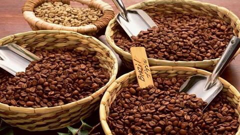 Giá cà phê hôm nay 14/11/2025: Thị trường lao dốc