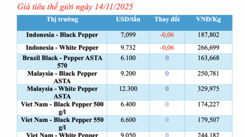 Giá tiêu hôm nay 14/11/2025: Tiêu nội địa giảm đồng loạt