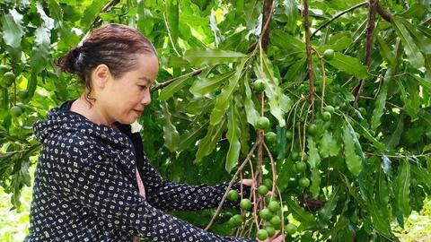 Lai Châu mở lối cho sản phẩm OCOP đến gần với người tiêu dùng