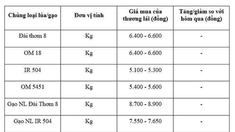 Giá lúa gạo hôm nay ngày 4/12: Gạo xuất khẩu giảm, lúa tươi chững giá