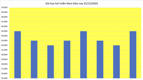 Giá heo hơi hôm nay 31/12/2025: Diễn biến trái chiều