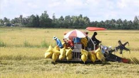 Năm 2025, ngành Nông nghiệp và Môi trường đạt và vượt 9/9 chỉ tiêu