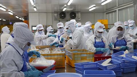 Đồng Tháp đặt mục tiêu năm 2026 công nghiệp tăng 12,5%, xuất khẩu 10 tỷ USD