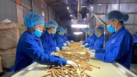 Công nghệ xanh ‘mở lối’ tăng trưởng bền vững trong trật tự kinh tế mới