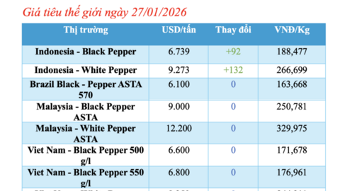 Giá tiêu hôm nay 27/1/2026: Tăng rải rác