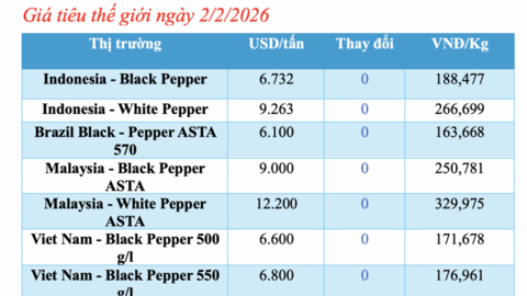 Giá tiêu hôm nay 2/2/2026: Thị trường ổn định