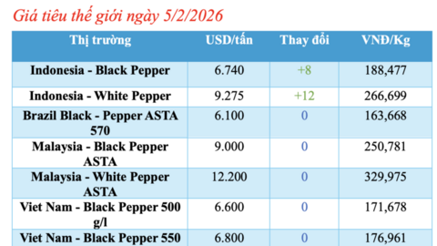 Giá tiêu hôm nay 5/2/2026: Tiêu nội địa neo cao