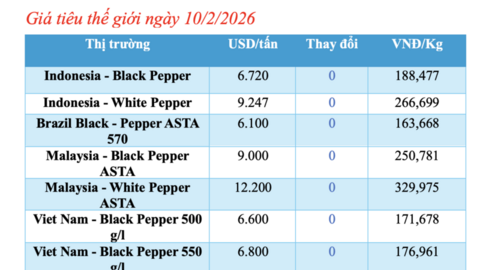 Giá tiêu hôm nay 10/2/2026: Tạm chững