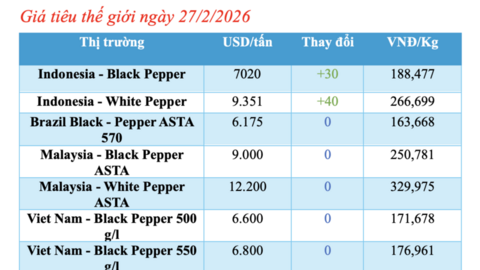 Giá tiêu hôm nay 27/2/2026: Đảo chiều tăng thêm