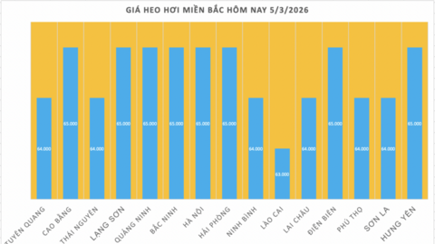 Giá heo hơi hôm nay 5/3/2026: Tiếp tục giảm nhiều nơi