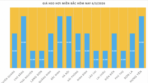 Giá heo hơi hôm nay 6/3/2026: Tiếp tục giảm nhiều nơi