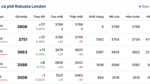 Giá cà phê hôm nay 6/3/2026: Đảo chiều tăng nhẹ