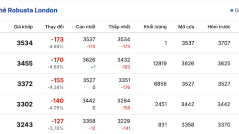 Giá cà phê hôm nay 16/3/2026: Dao động quanh mốc 90.000 đồng/kg
