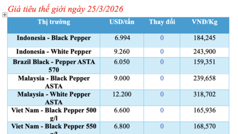 Giá tiêu hôm nay 25/3/2026: Bật tăng mạnh
