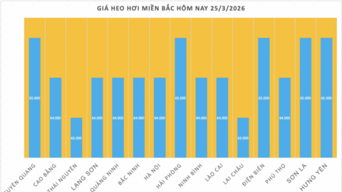 Giá heo hơi hôm nay 25/3/2026: Tiếp tục giảm sâu tại miền Bắc