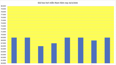 Giá heo hơi hôm nay 26/3: Đi ngang, cao nhất đạt 69.000 đồng/kg
